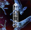 ?????慰]??[??TYPE-B[?
