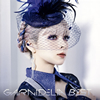 GARNiDELiA[?RNiDELiA BEST