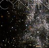 CYNHN[????c?????[?????????? [CD+DVD] []