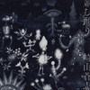 S?P??[?????? [CD+DVD]