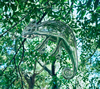 wacci[?pathy [CD+DVD] []