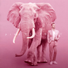 P????[?nk ELEPHANT