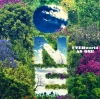 UVERworld[? ONE