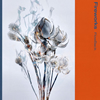 FlowBack[?reworks