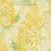 Kuniko Shimizu?Hiroko Takada[?ve[?the Songs of Takemitsu DUO