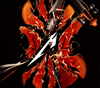?????????????????S[?M2 [fWpbNdl] [Blu-ray+2CD] [SHM-CD]