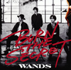 WANDS[?RN THE SECRET