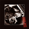 RED WARRIORS[?VE DOGS