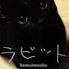 Rama Amoeba[?bbit