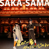 SAKA-SAMA[?????????c???????????? [WPbgdl] [2CD]