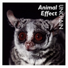 UNCHAIN[?imal Effect