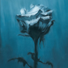 waterweed[?ep inside[?Unknown best