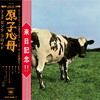 ???????????[??L?^??[?M????????c???50?S?^?? [WPbgdl] [Blu-ray+CD] []