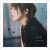??????birds fly [WPbgdl]