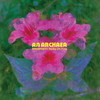 Amusement Parks On Fire[? Archaea