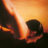 PORCUPINE TREE[? THE SUNDAY OF LIFE