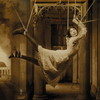 PORCUPINE TREE[?GNIFY