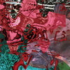 Merzbow[?rple Fish