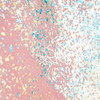 Kenichiro Nishihara[?path
