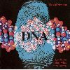 ????c?????????????DNA []