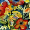 Adrianne Lenker[?ngs and instrumentals [2CD] []