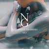 Yoshihiro Sawasaki[?turally Gushing vol.2