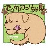 ?????J??????????????????? [CD+DVD]