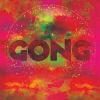 GONG[?E UNIVERSE ALSO COLLAPSE