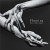????F?Flumina