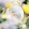 ???????????????⌫?????????????????䦉?? [Blu-ray+CD]