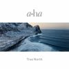 a-ha[??????????