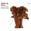 Dieter Ilg[?vel