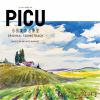 ????????R????? PICU O????ⶇ??M ORIGINAL SOUNDTRACK[?IHIRO MANABE