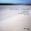 INVISIBLE STREAM?????????????@???????SAX[? ????VC[? ??????c???P[? ? [fWpbNdl]