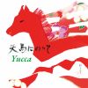 Yucca[????c?