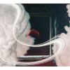 ??????Dystopia [CD+DVD] []
