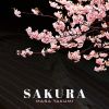 MASA TAKUMI[?KURA