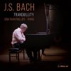 J.S.???????Tranquillity@??????????c??????