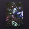 Plastic Tree[?h? []
