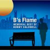 ???????????????B's?????????????????????????????????????? [2CD] [SHM-CD]