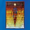 VIEUX FARKA TOURE [? KHRUANGBIN[?I []