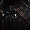 ?????㰎?VOICE-REBORN-