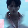 ??????Love Covers III [CD+DVD] []