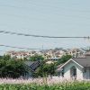 Paniyolo[?㶁???[?⌤? [WPbgdl]