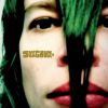 SUPERCHUNK[?SFITS [? MISTAKES[? SINGLES[? B-SIDES [? STRAYS 2007-2023 [2CD]