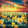 D?P??J.Project[???????????? ??䉹??????J???????????
