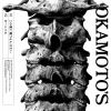 OKAMOTO'S[????????????????? [Blu-ray+CD] []