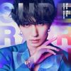 SUPER??DRAGON[?w Rise []
