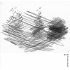 The Bass Collective[??? [2CD]