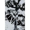 Plastic Tree[?astic Tree [CD+DVD] []